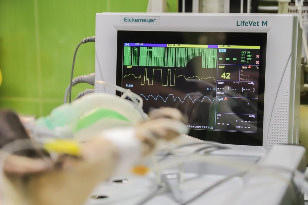 monitoring, life monitor, ekg, healthcare, heart, pulse, computer, technology, cardio, heartbeat, vet, veterinary, clinic, surgery, dog, cat, animal, operation, treatment, nature, veterinarian, procedure, ekg, ekg, ekg, ekg, ekg, cardio, heartbeat, vet, vet, vet, vet, veterinary, veterinary, veterinary, surgery, veterinarian, veterinarian, pet, veterinarian, veterinarian