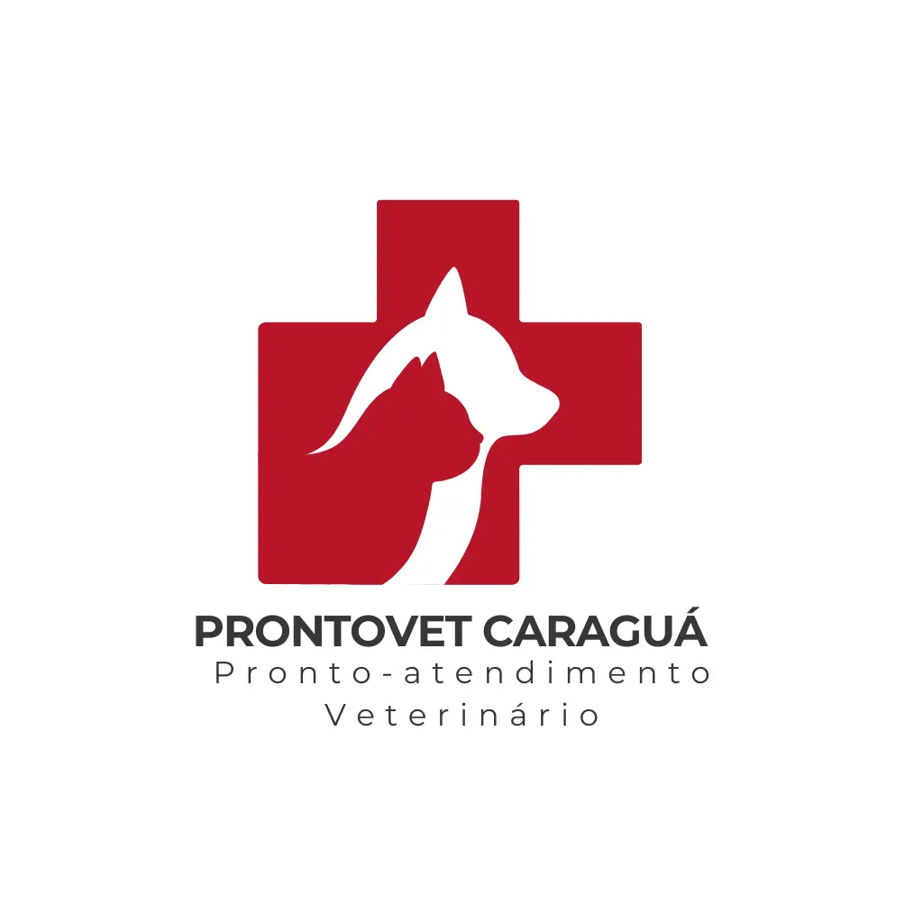 vet em casa (1)